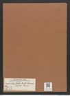 Navicula lata f. curta Grun. (de-Toni-Nr.: Genus 1, Species 32) Zeichnungen Sammlung Grunow Mappe 00024 (Herbarium_W_Grunow_drawings_Folder_00024)